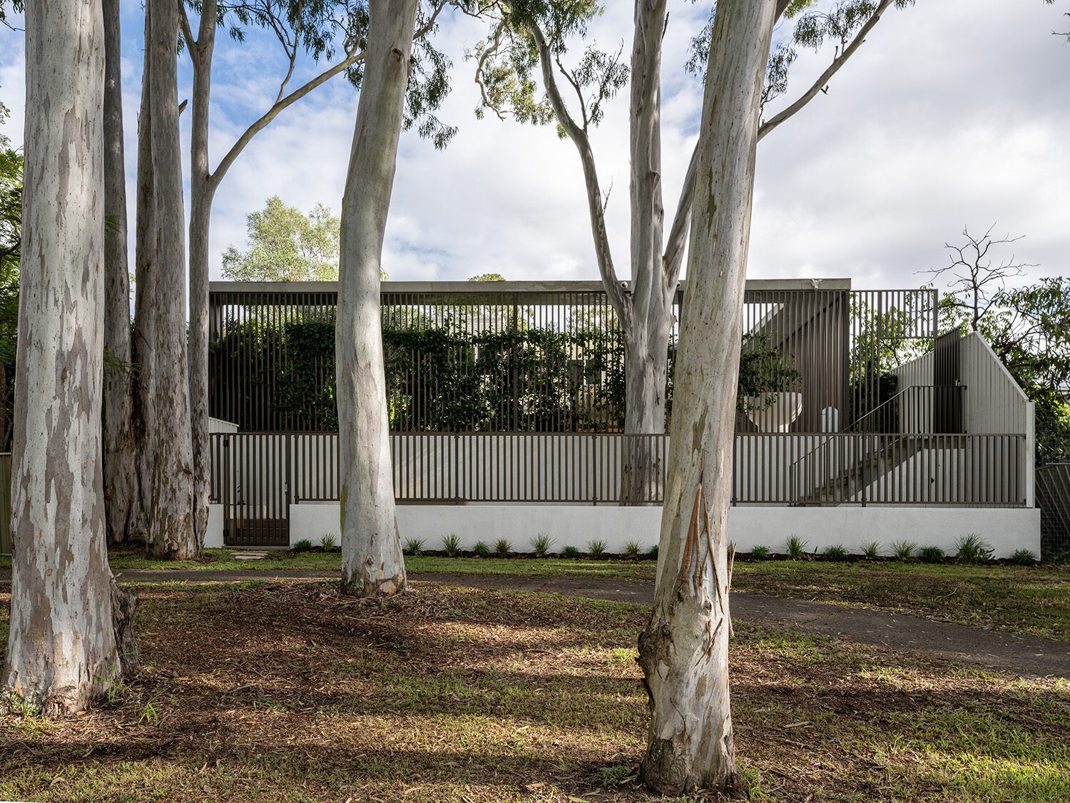 Canopus 2.0 — rear garden, timber privacy screen
