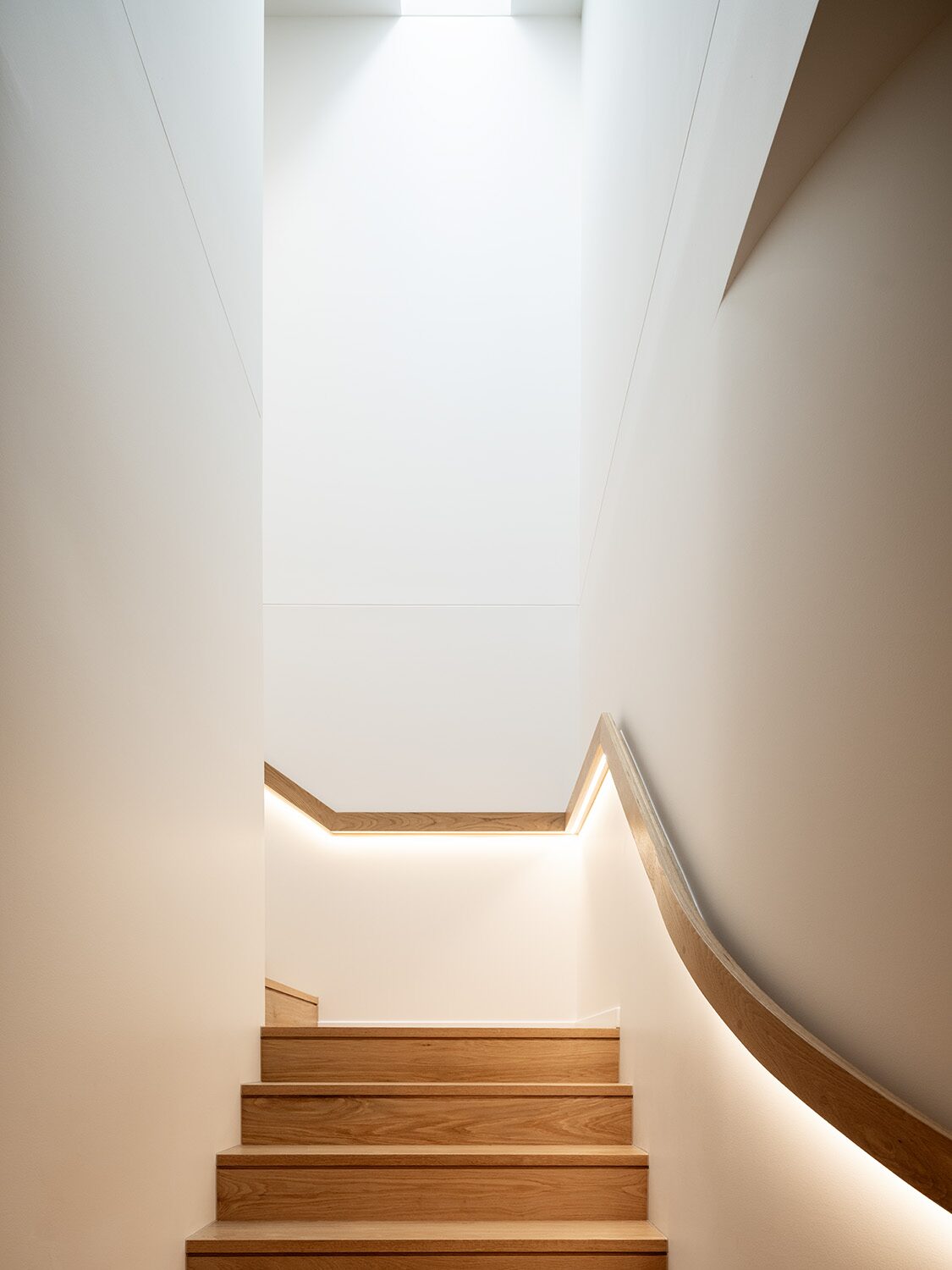 Canopus 2.0 — interior detail