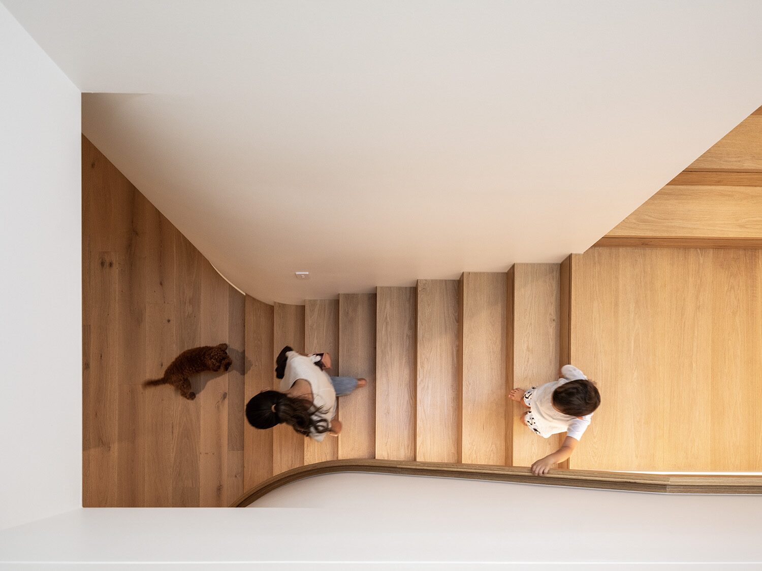 Canopus 2.0 — living space