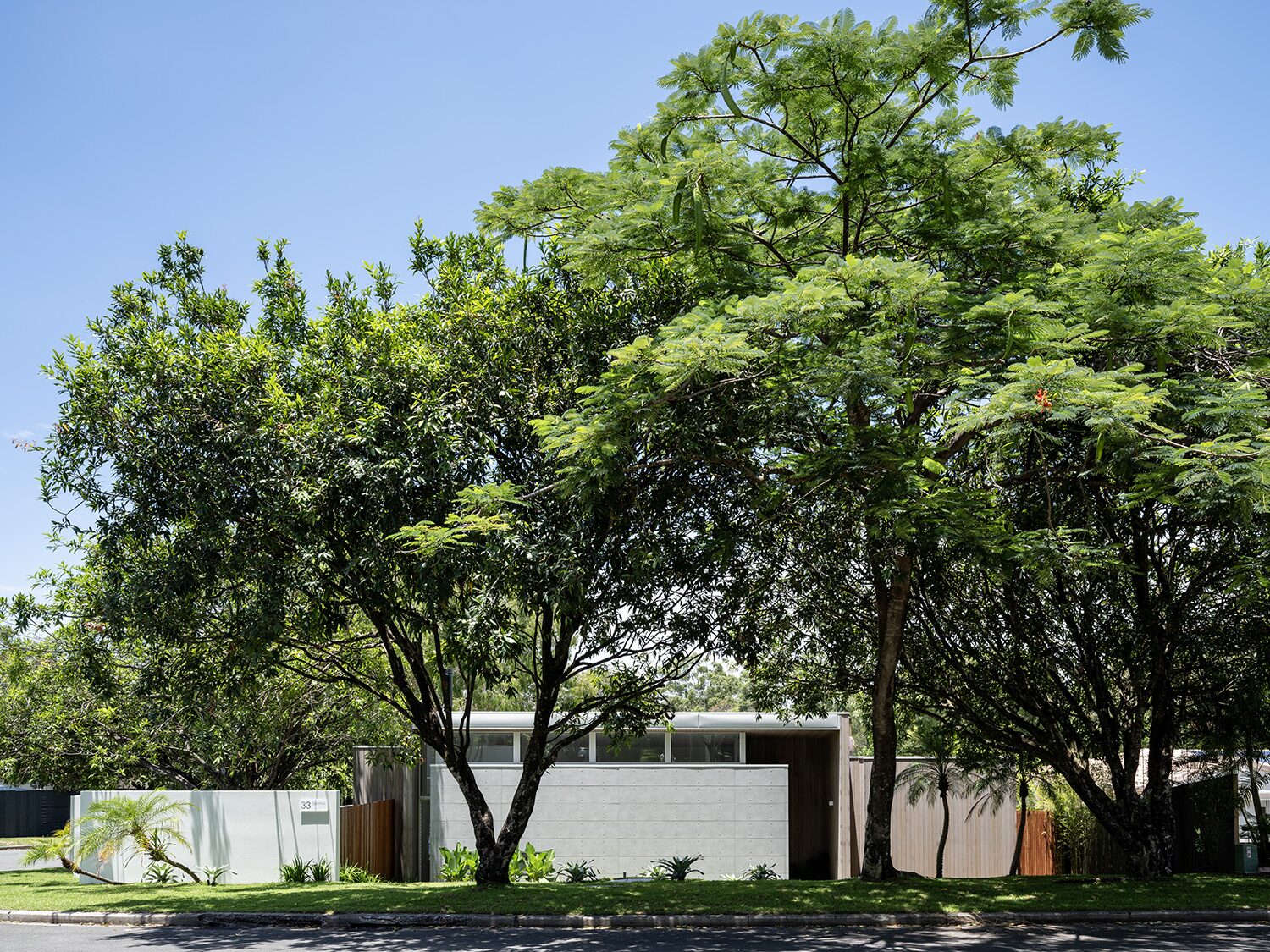Tarina — street view through garden trees